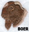 Boer Buck
