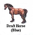 Draft Horse