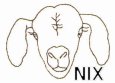 Cartoon Nubian Head