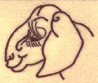 Nubian Head Caricature